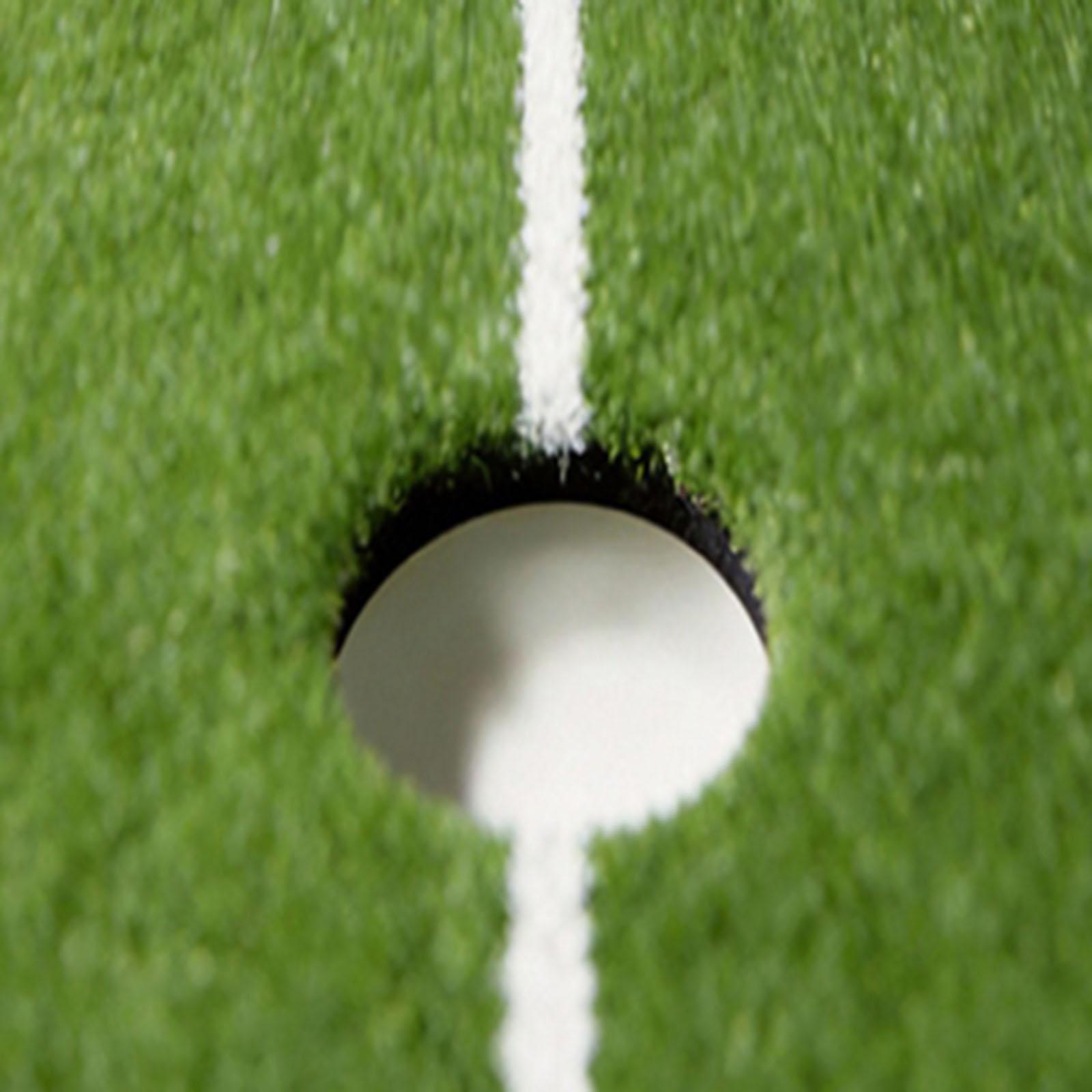 Training Net Mini - Foldable Golf Putting Mat Premium PP
